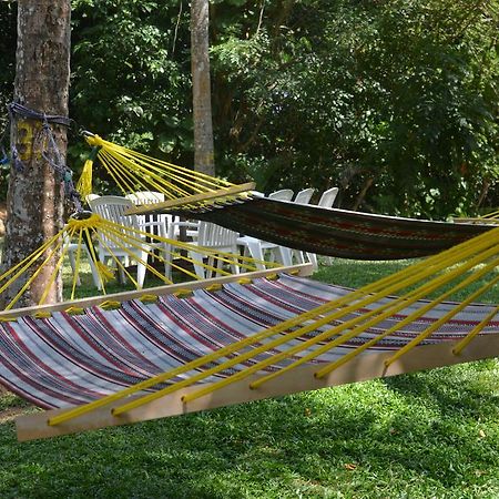 Jungle Beach Hostel Unawatuna Exteriör bild