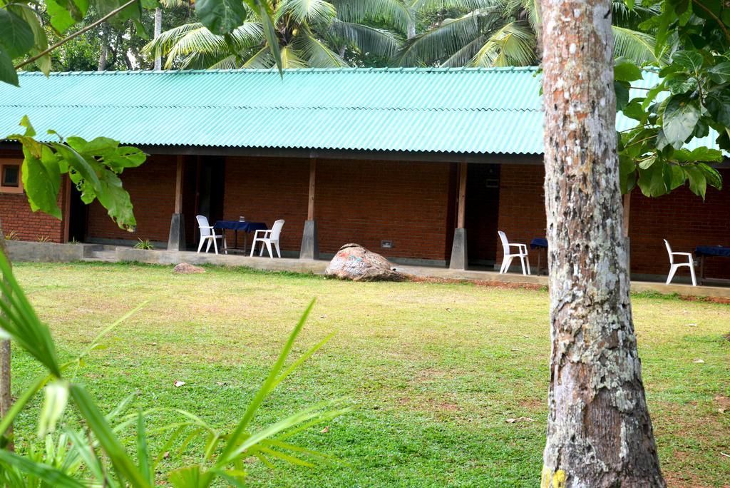 Jungle Beach Hostel Unawatuna Exteriör bild
