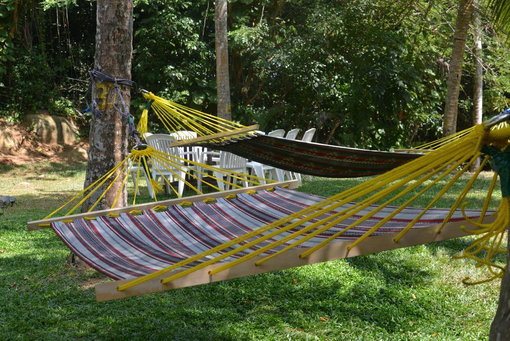 Jungle Beach Hostel Unawatuna Exteriör bild