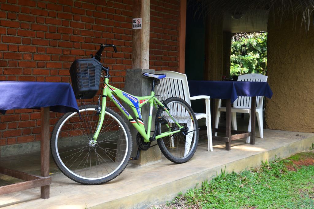 Jungle Beach Hostel Unawatuna Exteriör bild